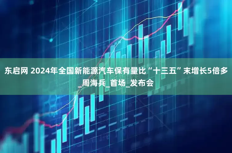 东启网 2024年全国新能源汽车保有量比“十三五”末增长5倍多_周海兵_首场_发布会