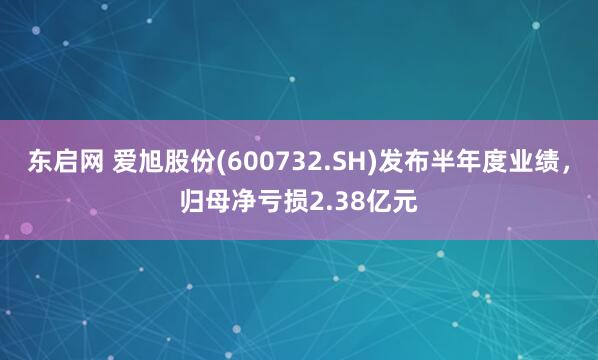 东启网 爱旭股份(600732.SH)发布半年度业绩，归母净亏损2.38亿元