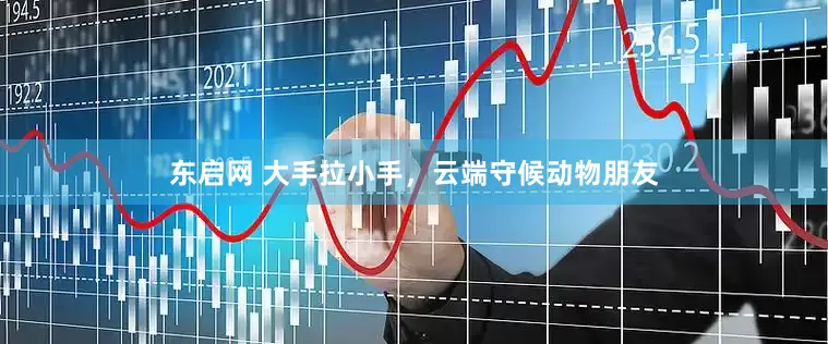 东启网 大手拉小手，云端守候动物朋友