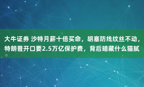 大牛证券 沙特月薪十倍买命，胡塞防线纹丝不动，特朗普开口要2.5万亿保护费，背后暗藏什么猫腻